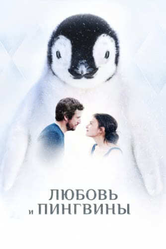 Любовь и пингвины (2016)
