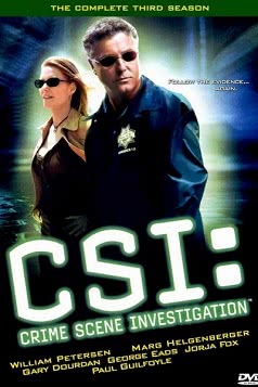 C.S.I. Место преступления (8 сезон)