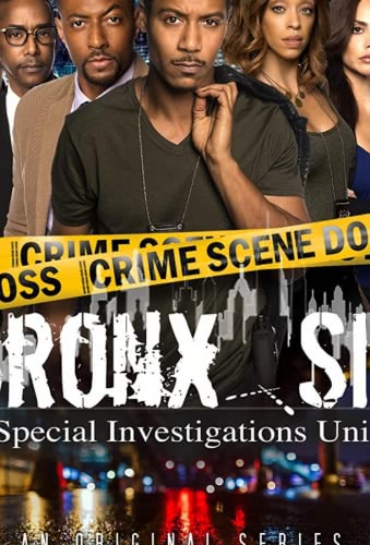 Бронкс: отдел спецрасследований (1 сезон)