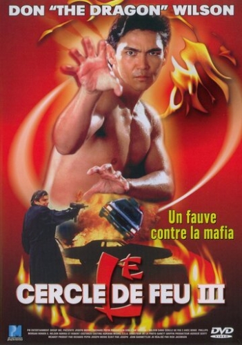 Огненное кольцо 3: Удар льва (фильм 1994)
